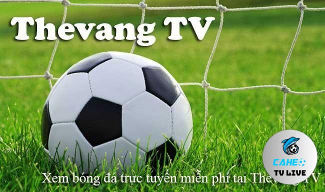 Thevang TV đặt mục tiêu trở thành trang web trực tiếp bóng đá số 1 Việt Nam